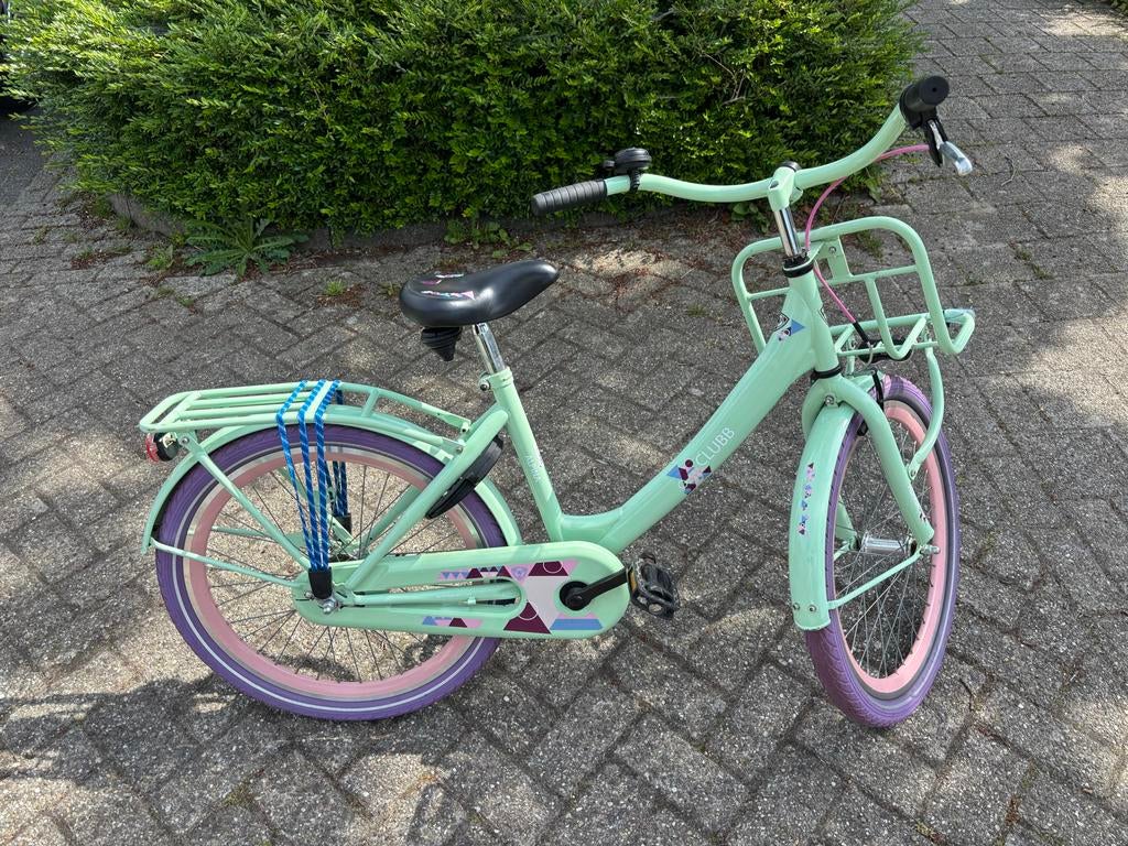 Alpina Clubb 22 inch kinderfiets - Mintgroen/Paars, Fietsen en Brommers, Fietsen | Meisjes, Gebruikt, 22 inch, Handrem, Terugtraprem