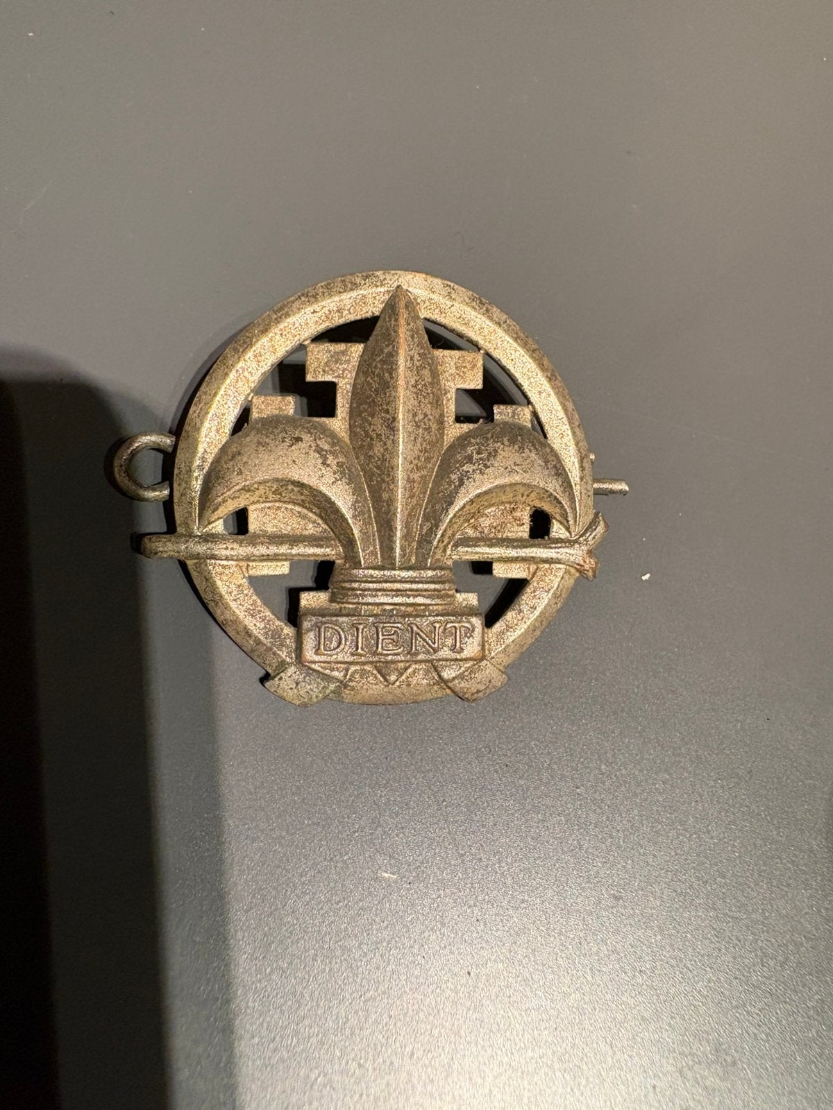 Oud Scouting Voortrekkers Insigne DIENT Metalen Franse Lelie, Verzenden, Zo goed als nieuw