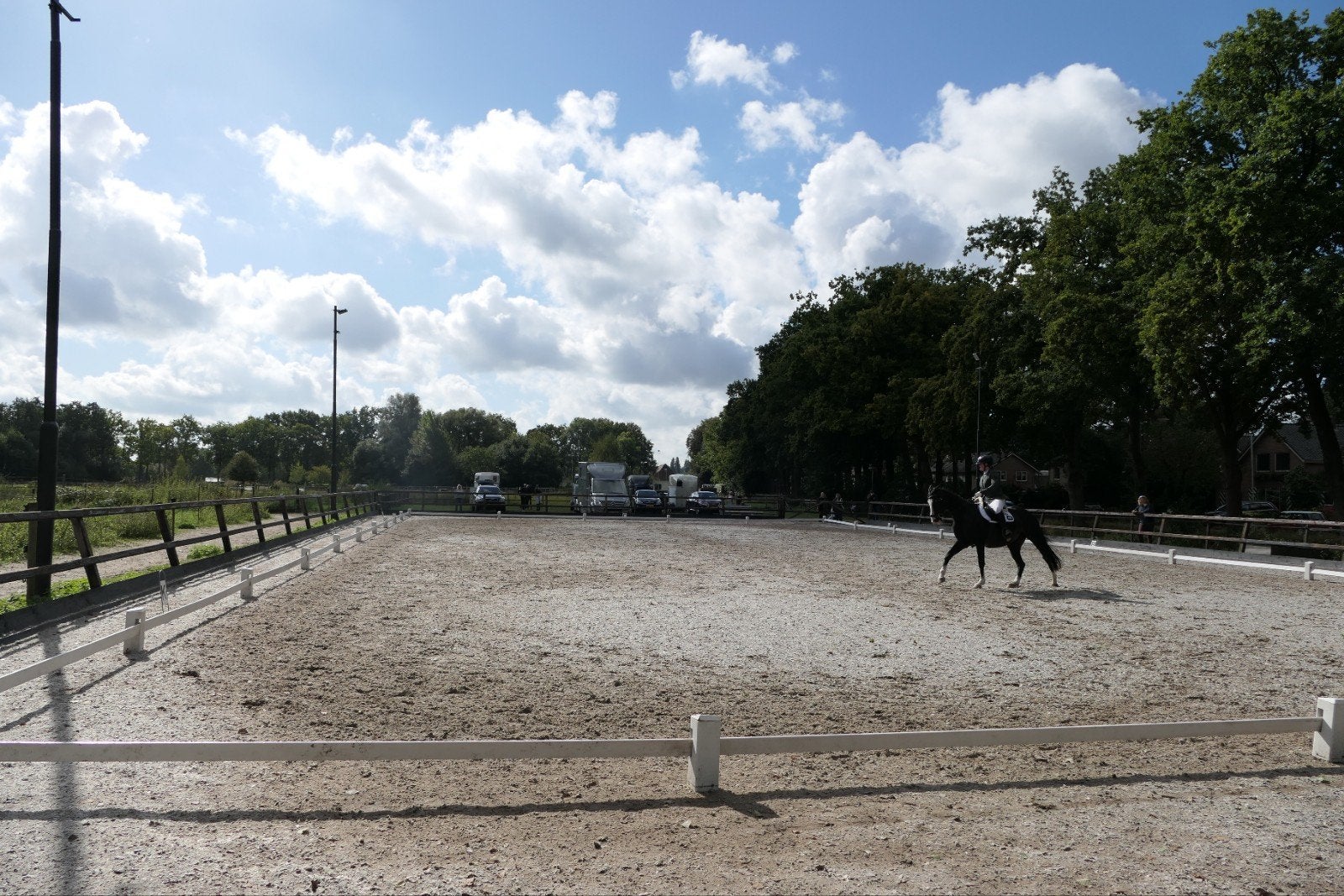 Te koop dressuur ring 60x20, Dieren en Toebehoren