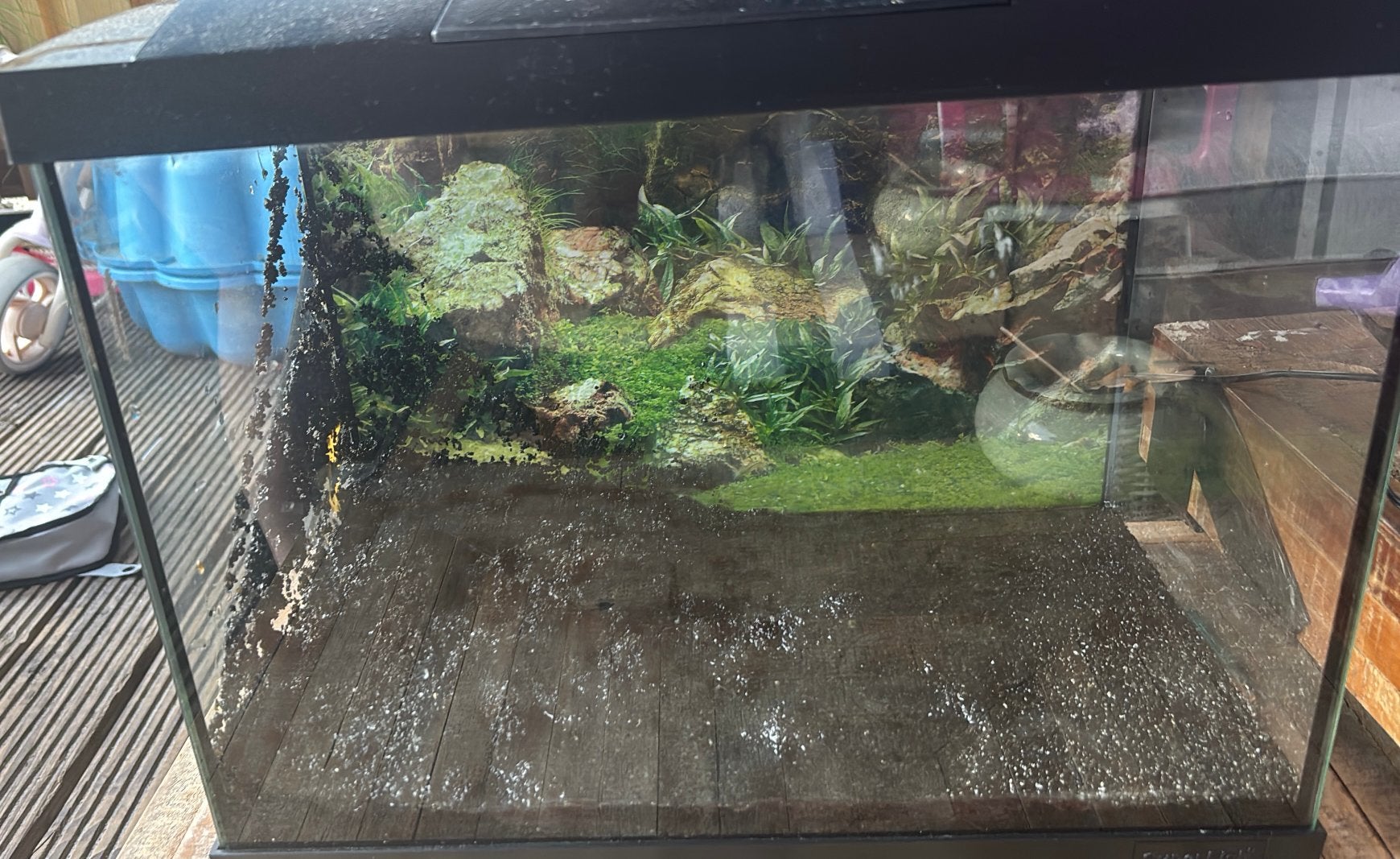 Aquarium, Dieren en Toebehoren, Reptielen en Amfibieën | Toebehoren, Ophalen, Gebruikt