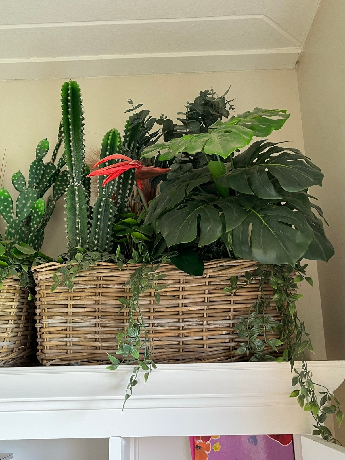 Mand met kunstplanten, waaronder gatenplant, Ophalen, Binnen, Groen, Kunstplant