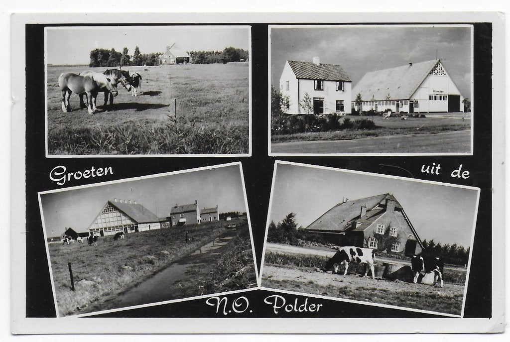 Noord Oost Polder Ansichtkaart uit 1954 ( B7739 ), Ophalen of Verzenden, 1940 tot 1960, Gelopen, Zeeland