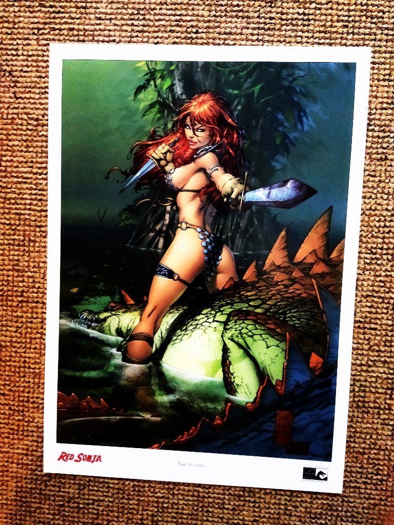Poster. van o.a. Red Sonja, Conan en meer. 30 x 42½ com.!!!!, Meerdere comics, Ophalen, Nieuw, Amerika