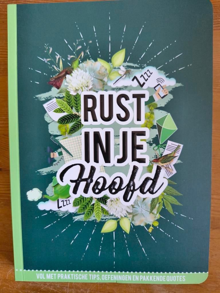 Rust in je hoofd, Ophalen of Verzenden, Nieuw