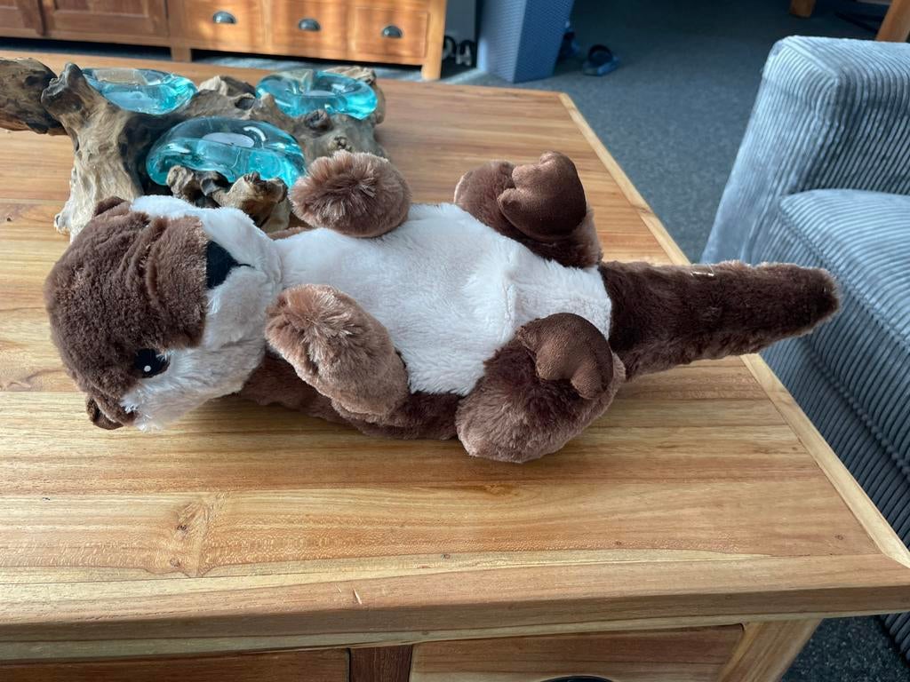 Knuffel van een otter, Kinderen en Baby's, Speelgoed | Knuffels en Pluche, Gebruikt, Overige typen, Ophalen of Verzenden, Middelgroot (20 tot 80 cm)
