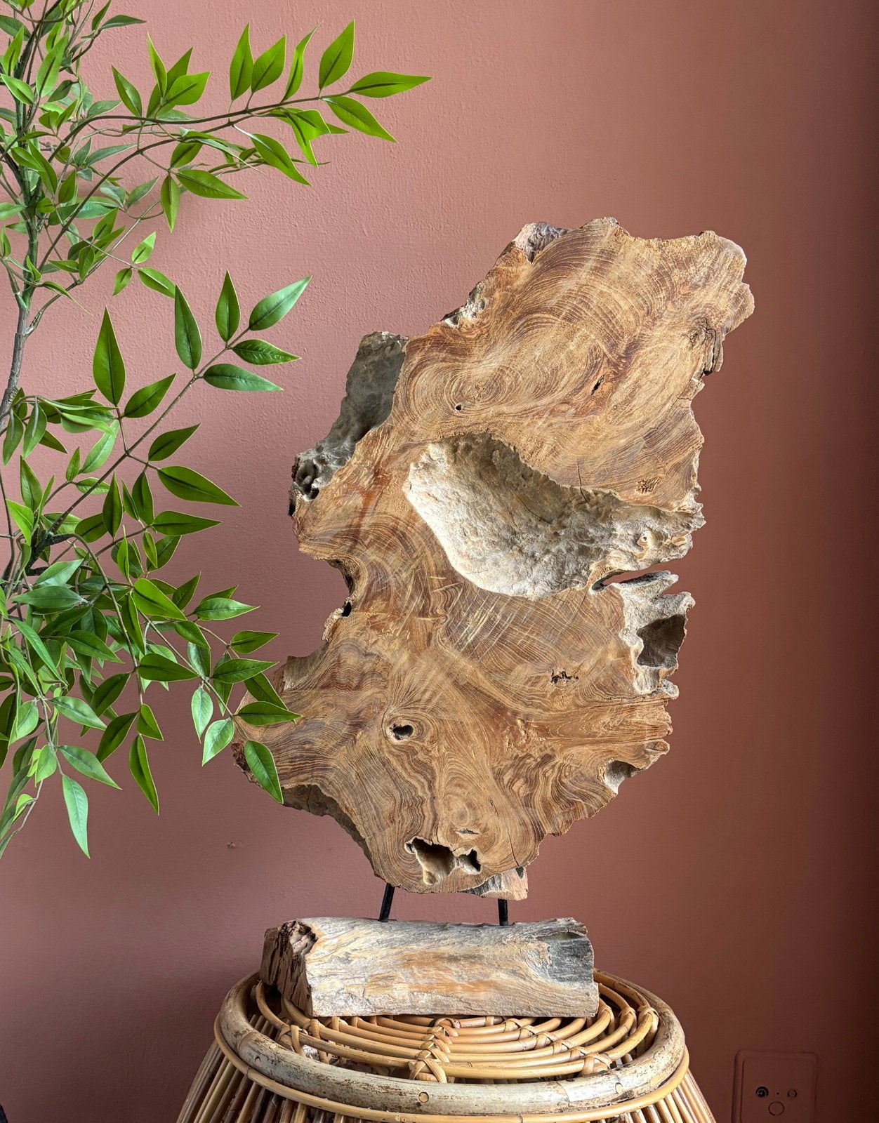 XL teakhouten ornament decoaratie, Overige onderwerpen, Brutalistisch, 50 - 100 cm, Hout
