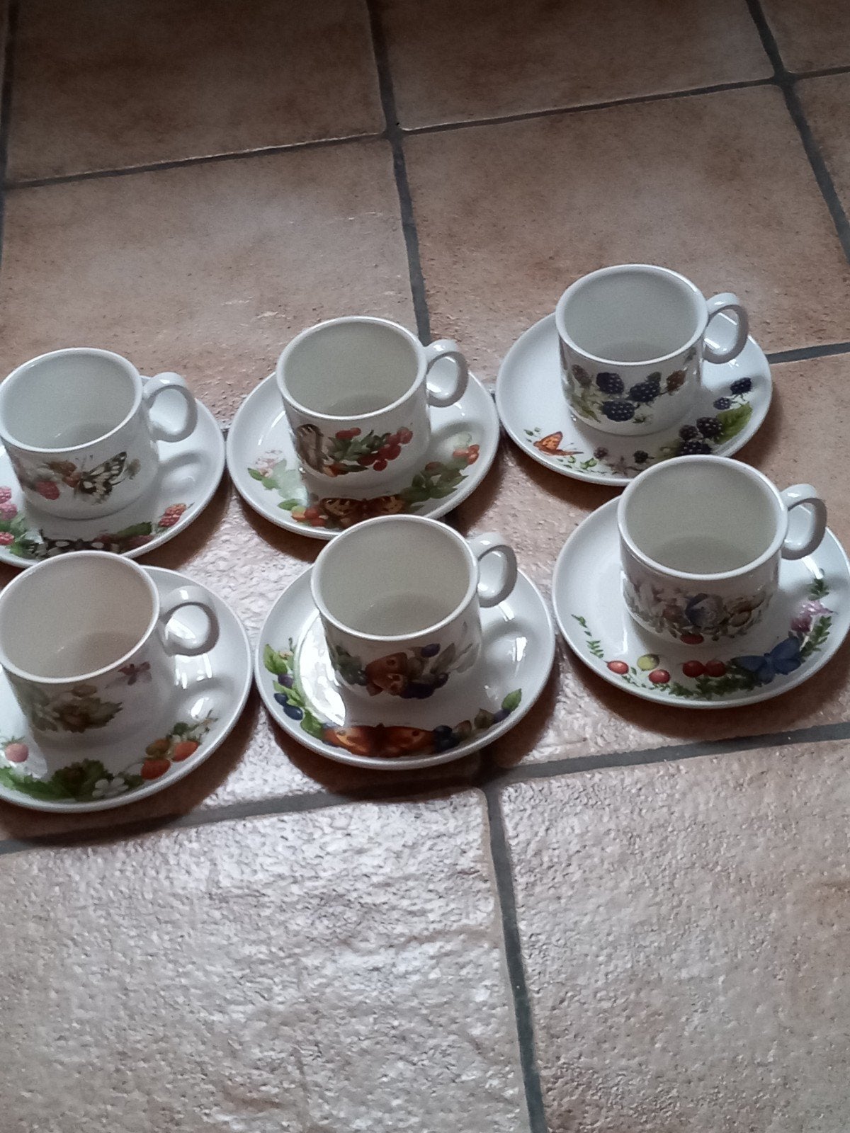 Marjolein Bastin bosvruchten kop en schotels, Huis en Inrichting, Ophalen of Verzenden, Zo goed als nieuw, Overige stijlen, Kop(pen) en/of Schotel(s)