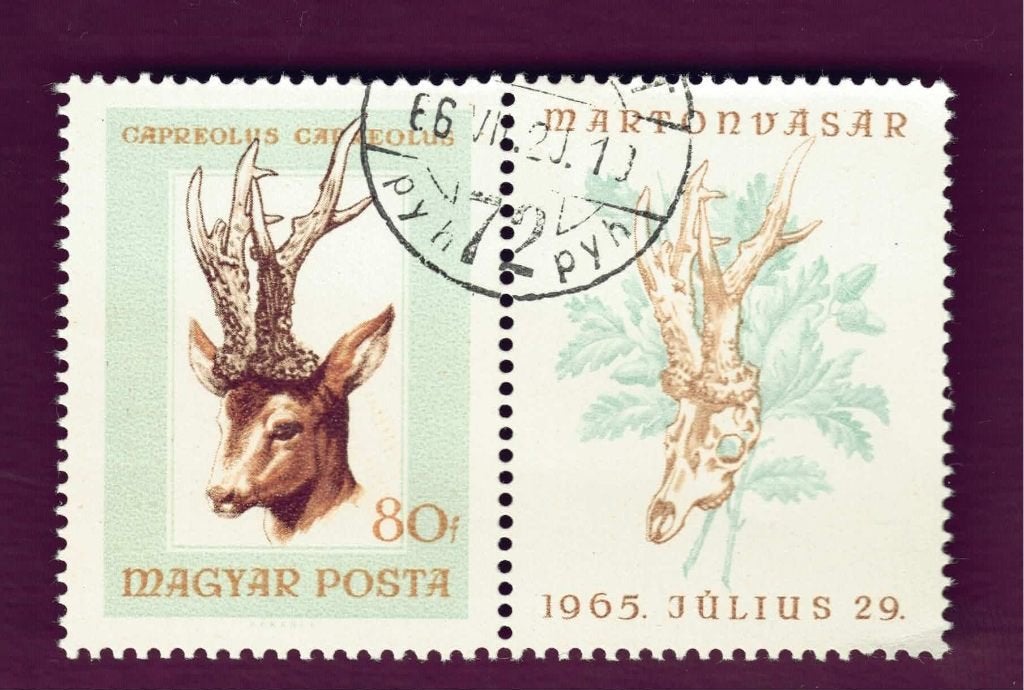 Fauna - Dieren - Hert - Magyar - 80 f+ aanhangsel - gebr, Ophalen of Verzenden, Gestempeld, Dier of Natuur