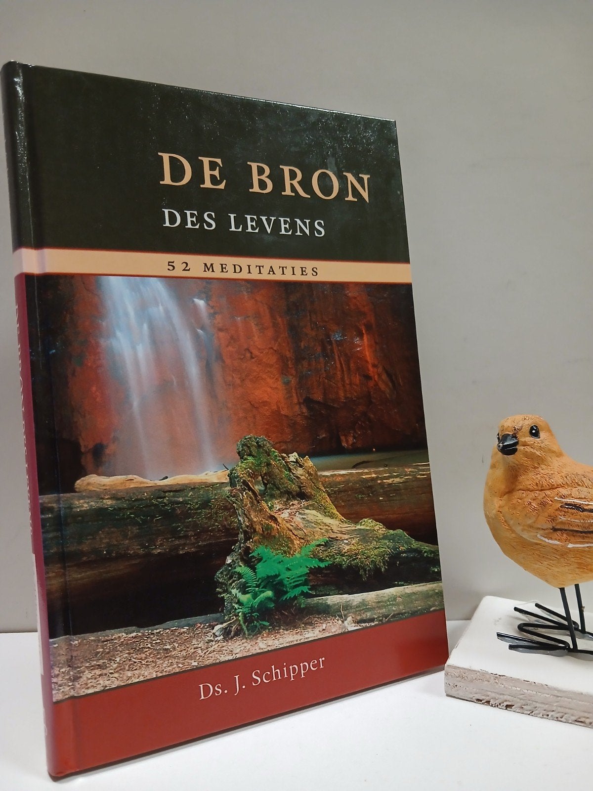 Schipper, Ds. J.; De Bron des Levens, Ophalen of Verzenden, Gelezen, Christendom | Protestants