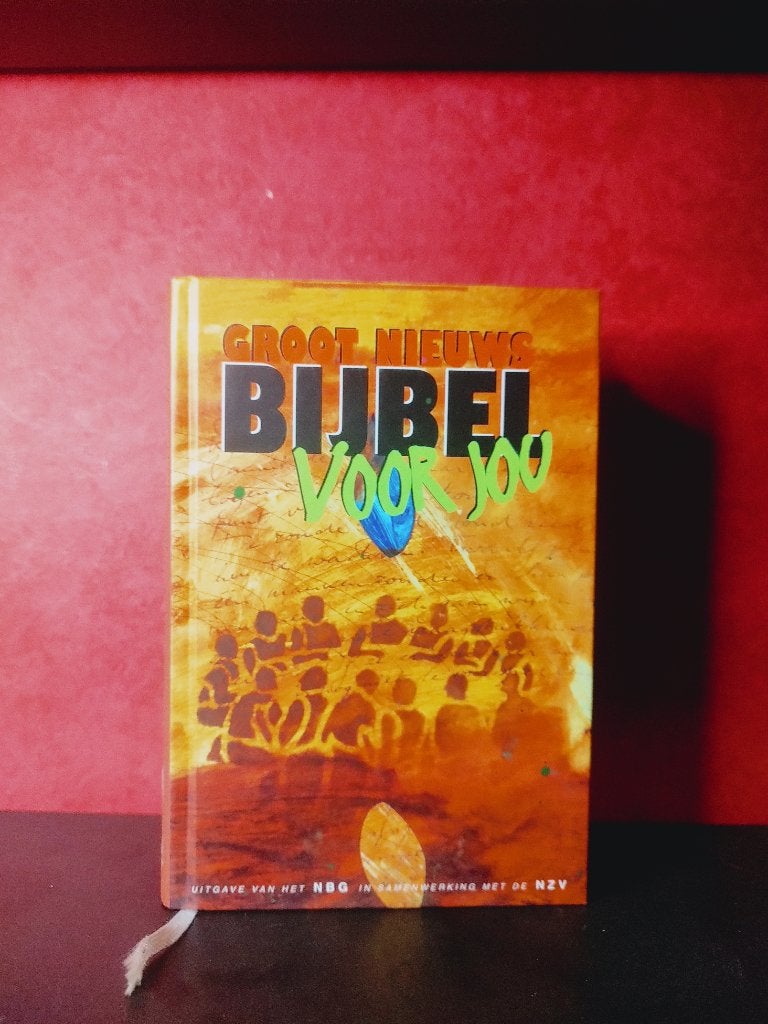 Groot Nieuws Bijbel voor jou, Boeken, Godsdienst en Theologie, Verzenden, Zo goed als nieuw, Christendom | Katholiek