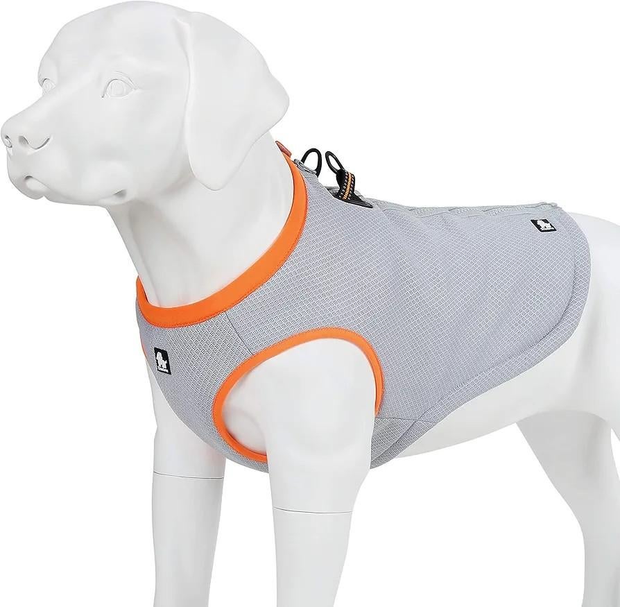 Koelvest hond / franse bulldog splinternieuw maat M, Dieren en Toebehoren, Hondenkleding, Ophalen of Verzenden, Nieuw