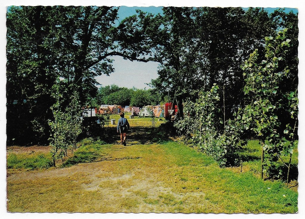 Renesse De Julianahoeve -- Gelopen ansichtkaart (B6185), Ophalen of Verzenden, Voor 1920, Gelopen