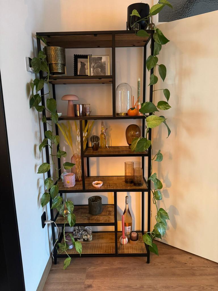 Mango houten stelligenkast, Ophalen, Zo goed als nieuw