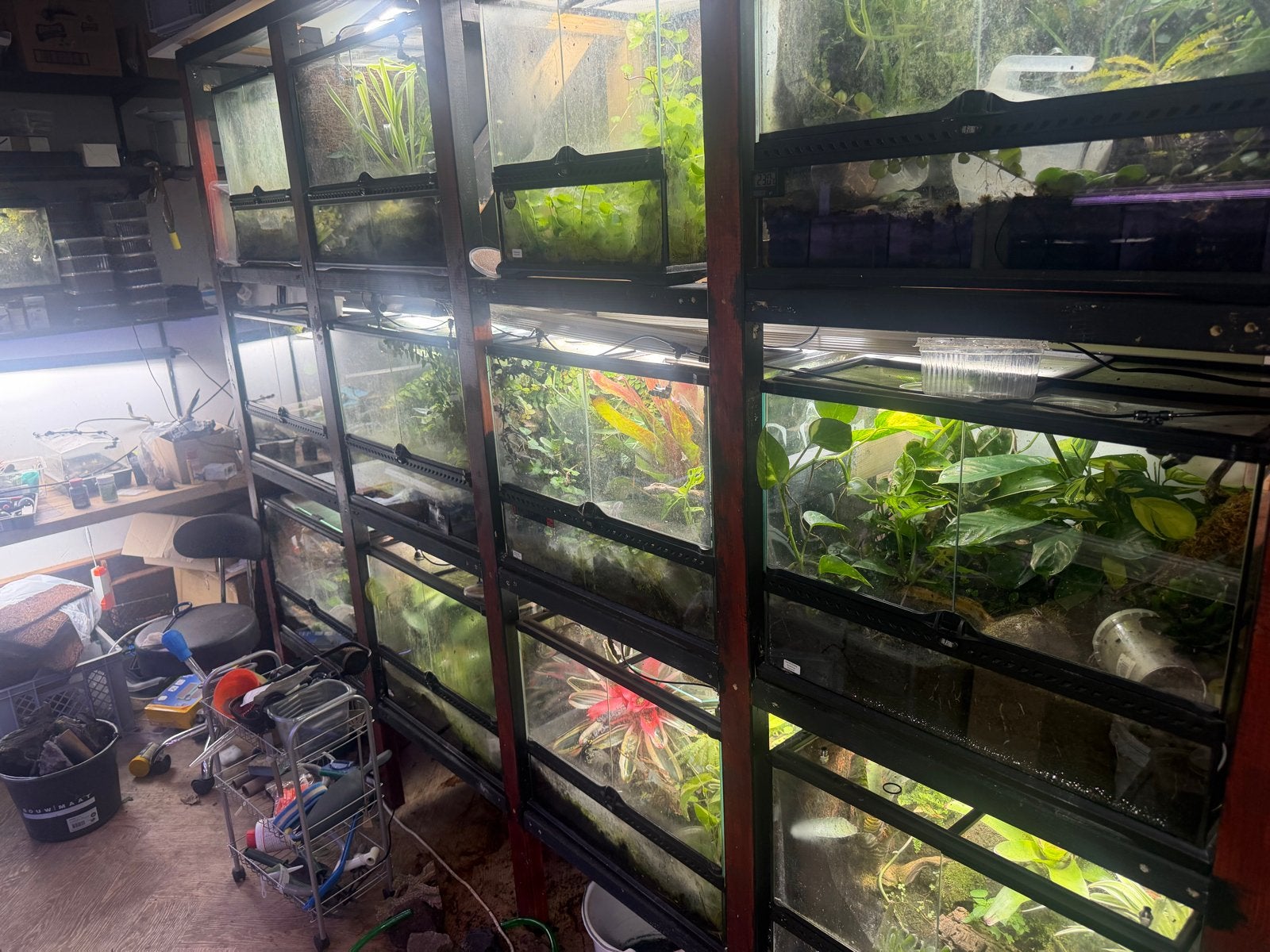 Stelling met exo terra terariums, Dieren en Toebehoren, Ophalen of Verzenden