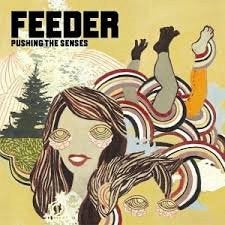 FEEDER - Pushing the senses cd/dvd, Ophalen of Verzenden, Zo goed als nieuw, Pop, Album