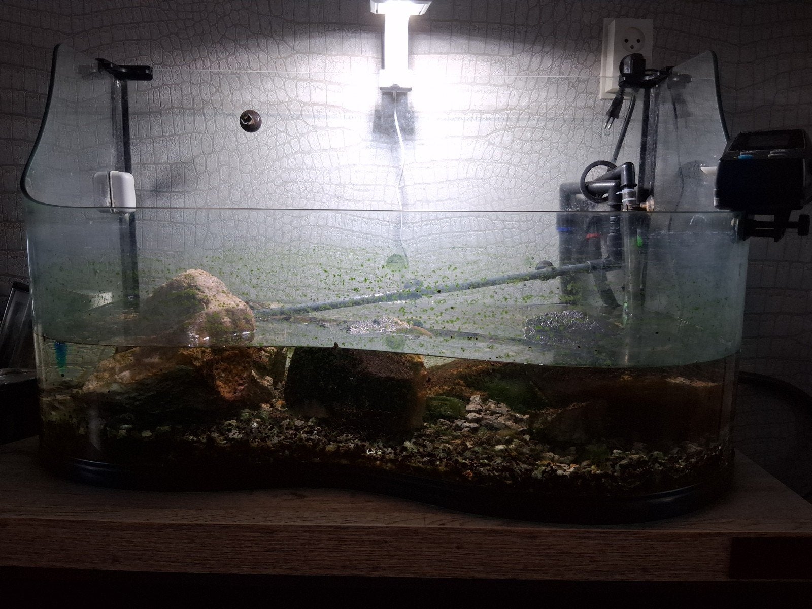 te koop open aquarium inclusief pomp en toebehoren, Ophalen, Inclusief slangen, Gebruikt, Leeg aquarium
