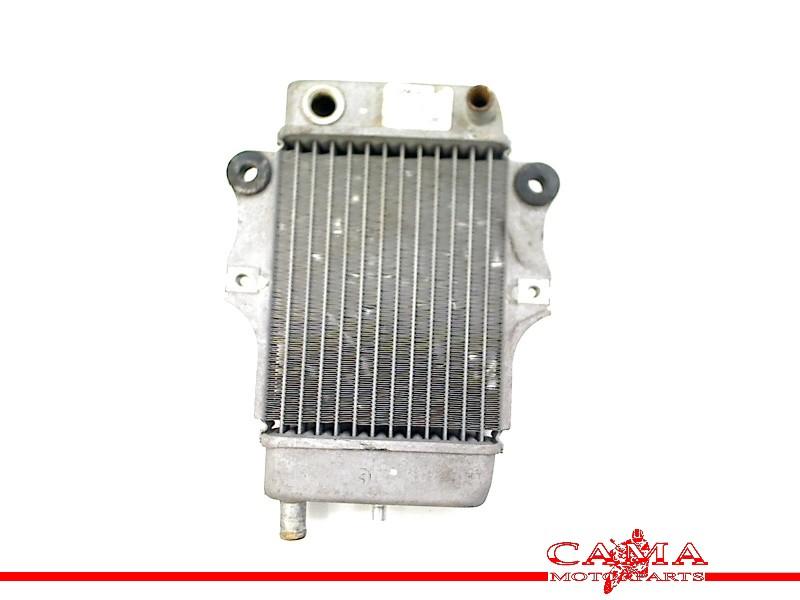 Radiateur Honda SES 150 Dylan (SES150) (1970-01/..) 614030, Honda, Gebruikt, Hanauer Landstraße  222-224, Frankfurt am Main 60314, , Duitsland