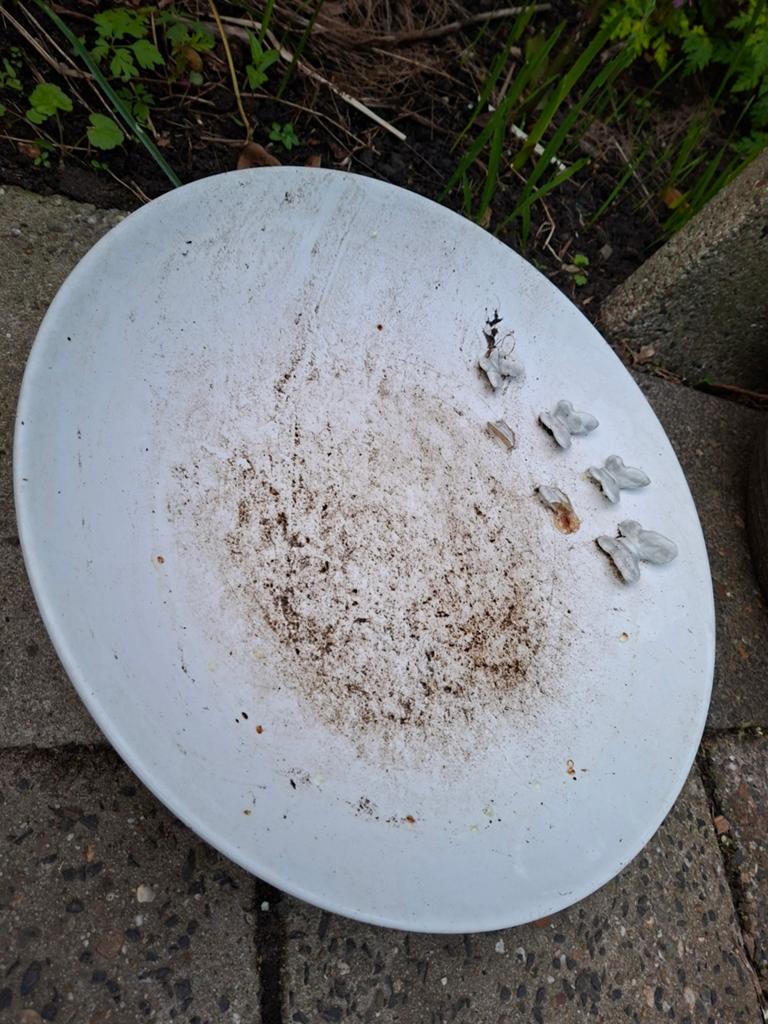 Grote tuinschaal met vlinders, Ophalen, Rond, Kunststof