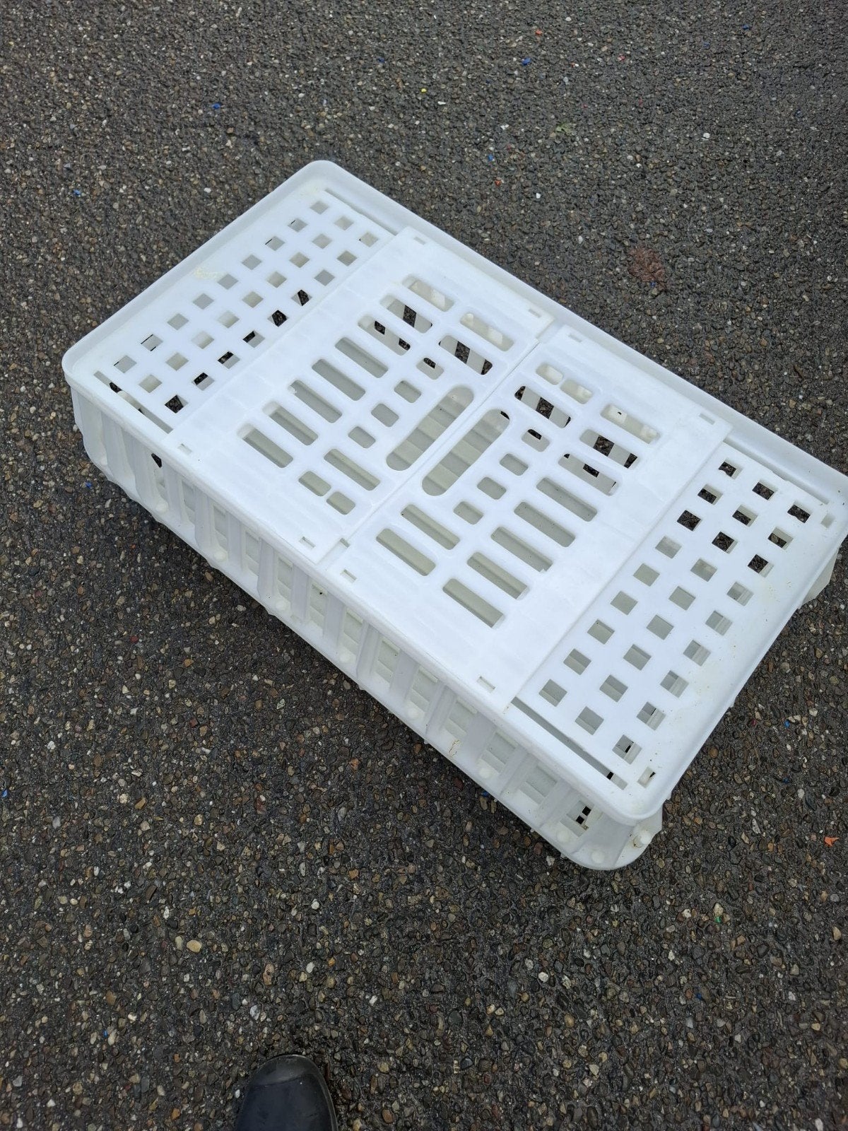 Plastic Kippenkratten / Transportkratten, Ophalen, Gebruikt, 40 tot 60 cm, Opvouwbaar