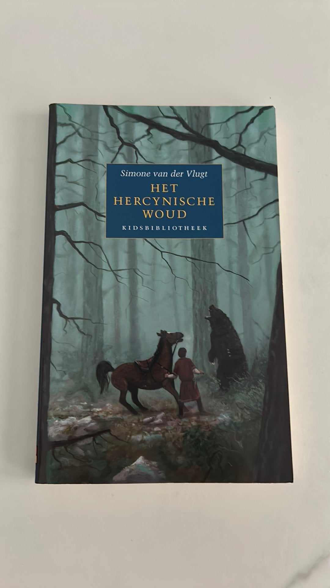 Het Hercynische woud, Boeken, Ophalen of Verzenden, Zo goed als nieuw