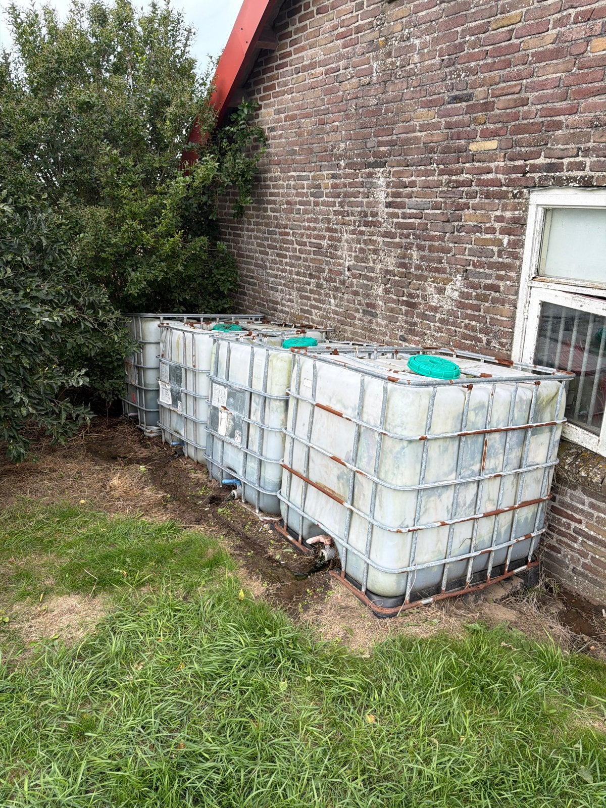 IBC-tanks voor wateropslag 4 stuks gratis af te halem, Tuin en Terras, Regentonnen, Ophalen, Kunststof, Gebruikt, Met kraantje
