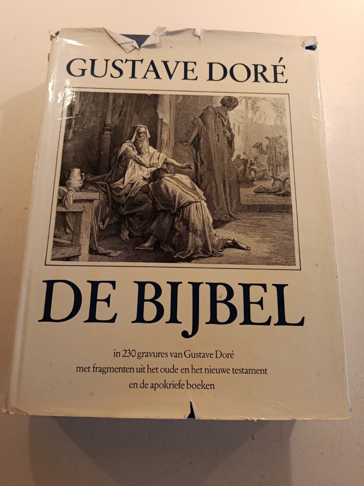 Gustave Doré - De Bijbel (met 230 gravures), Boeken, Ophalen of Verzenden, Gelezen, Gustave Doré, Christendom | Katholiek