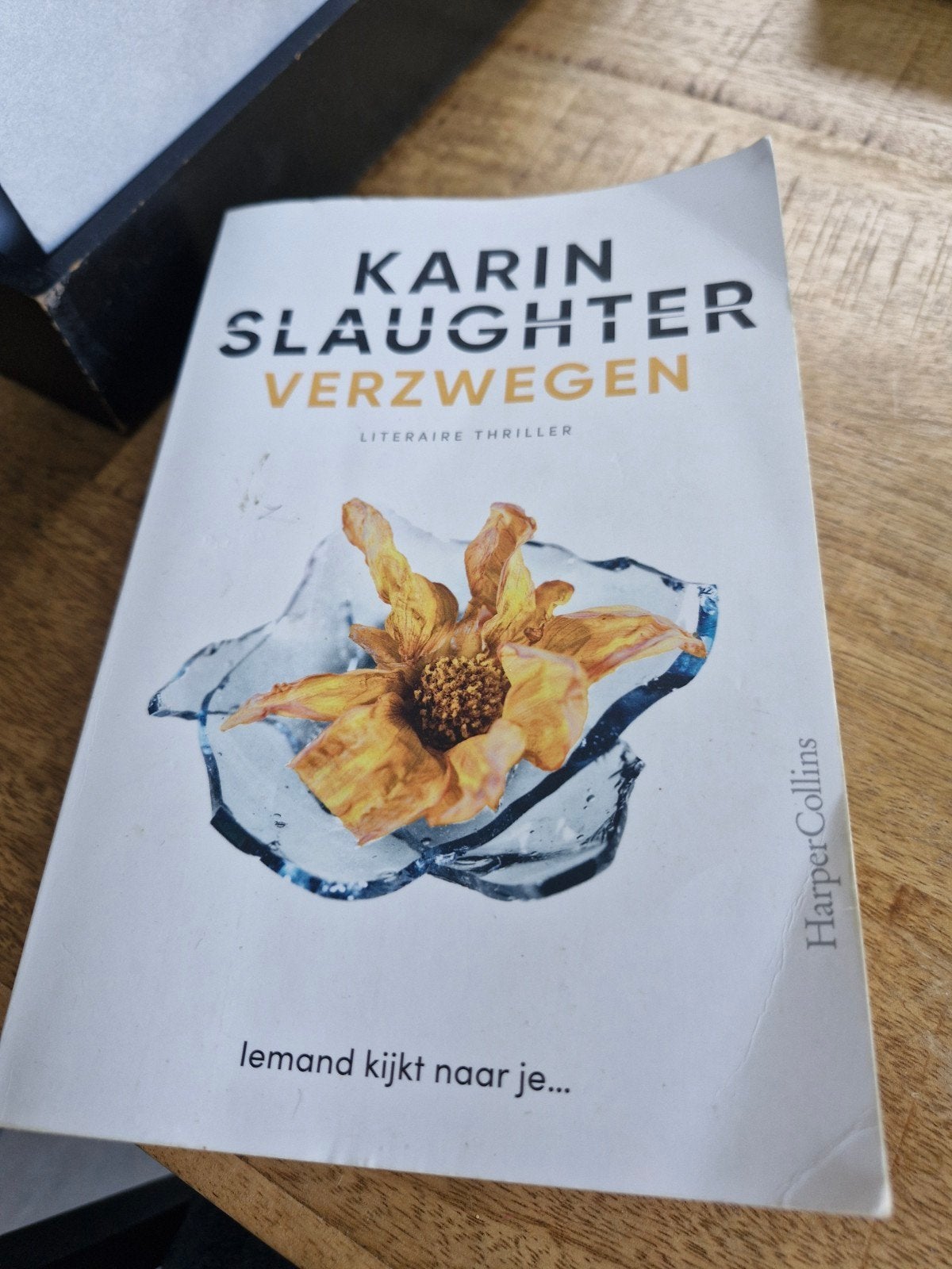 Karin Slaughter - Verzwegen (Literaire Thriller), Boeken, Ophalen of Verzenden, Gelezen, Karin Slaughter