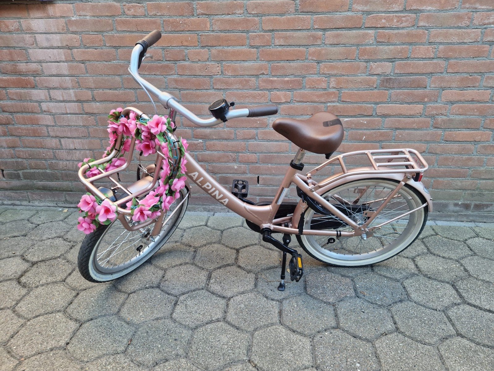 Alpina meisjes fiets 20 inch, Ophalen, Gebruikt, 20 inch, Alpina