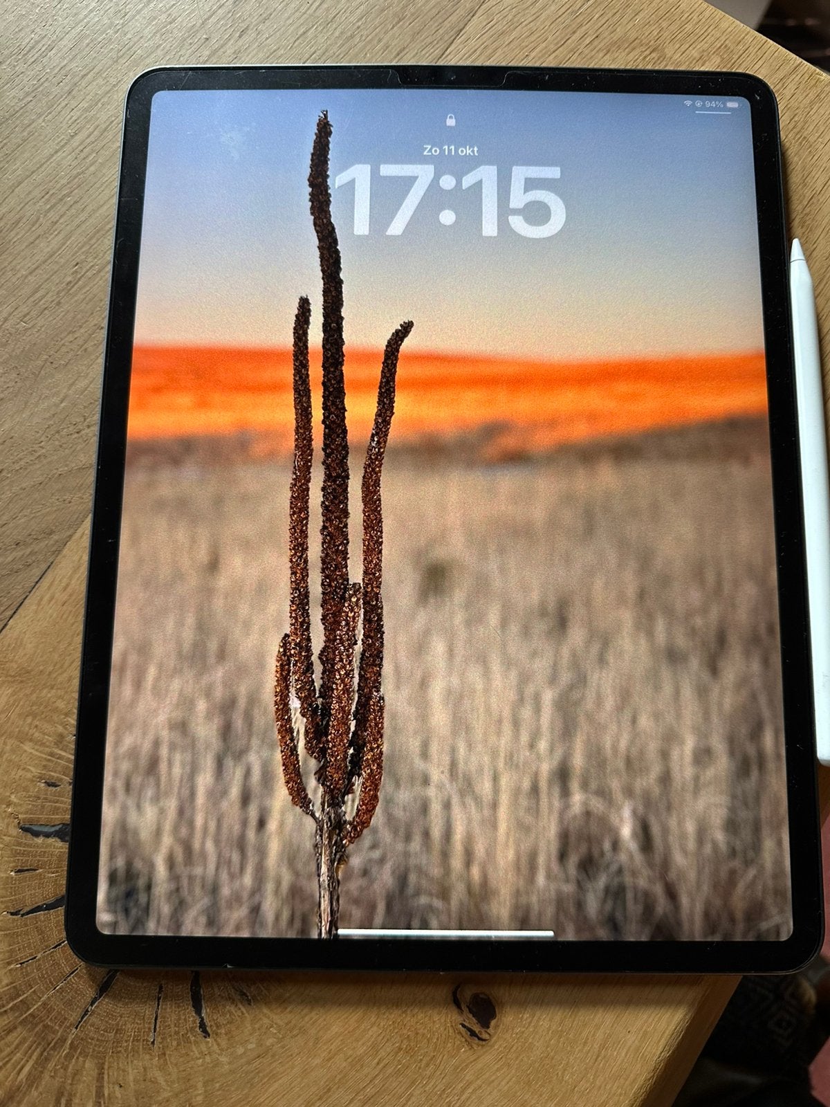 Ipad Pro 12,9” 3rd gen 64 GB met 2x apple pencil, Ophalen, Apple iPad, 12 inch, Zo goed als nieuw