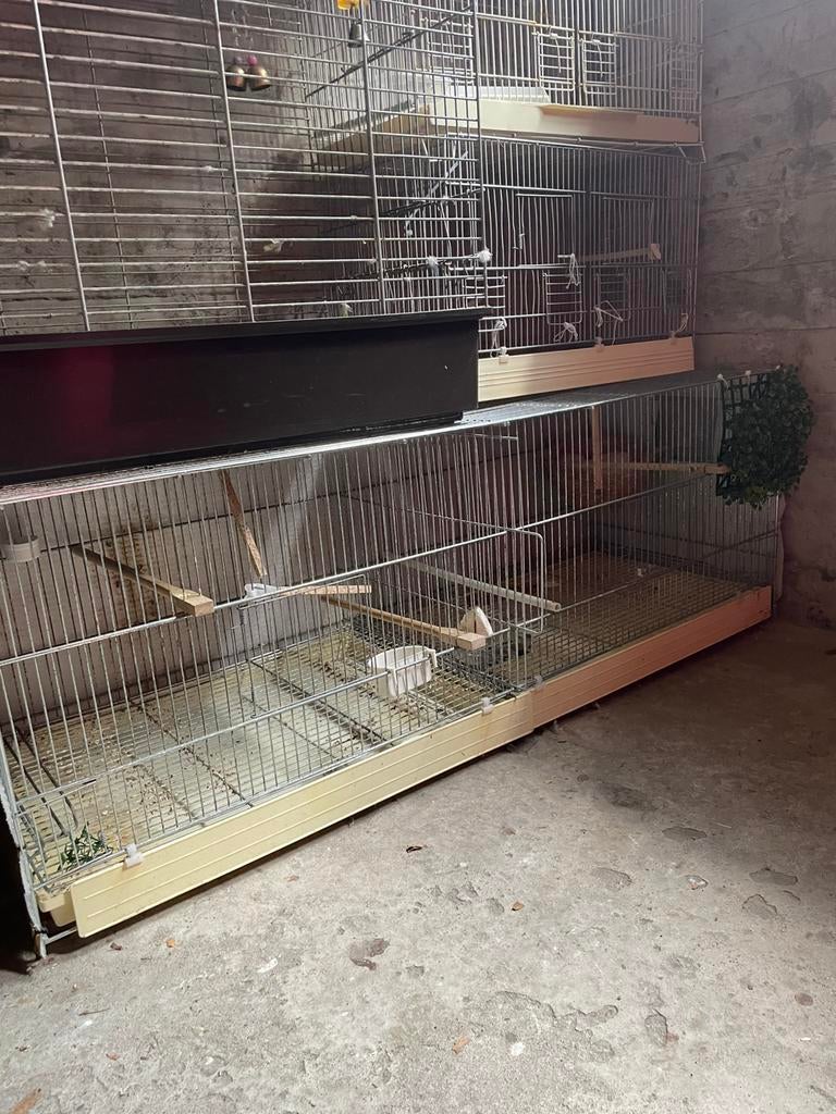 Kooien, Dieren en Toebehoren, Ophalen, Gebruikt, Hout, Broedkooi of Kweekkooi