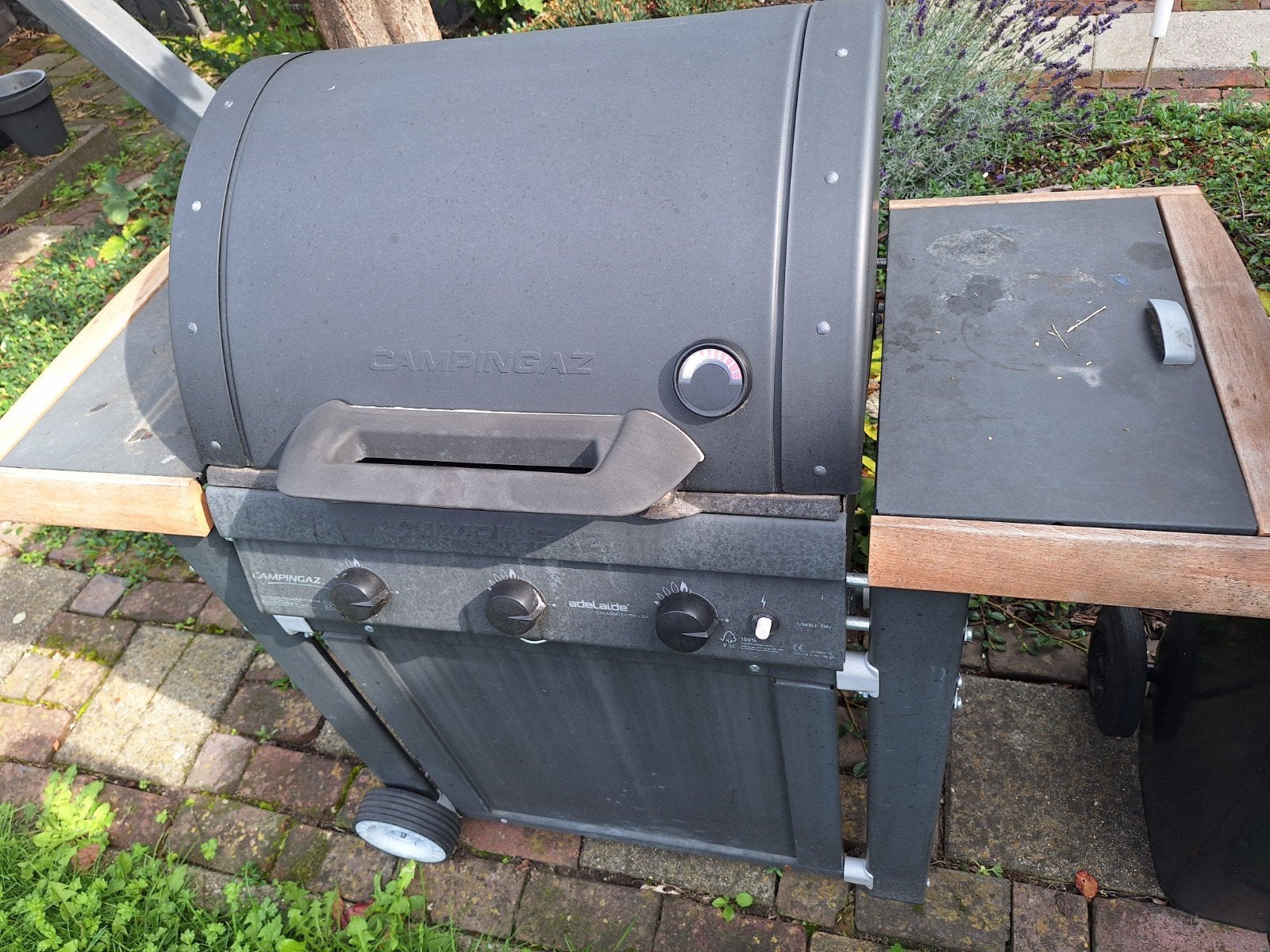 gratis afhalen campingaz gasbarbecue, Ophalen