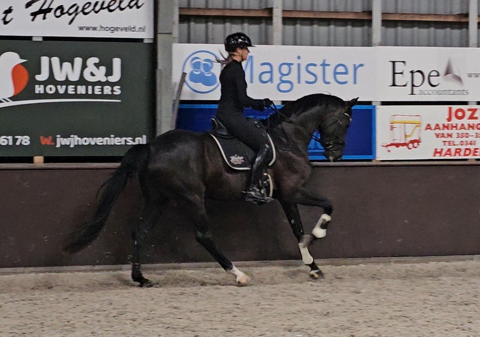Fijne veelzijdige 5 jarige zwarte merrie van Secret, Dieren en Toebehoren, Paarden, Merrie, Met stamboom, M, Dressuurpaard