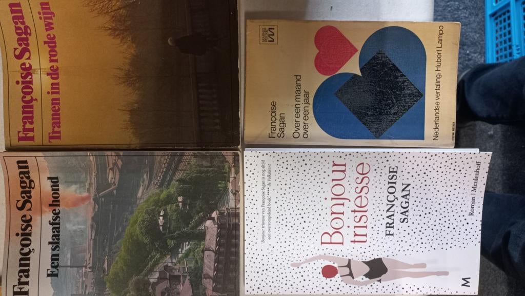 Francoise Sagan, Boeken, Literatuur, Gelezen, Ophalen of Verzenden