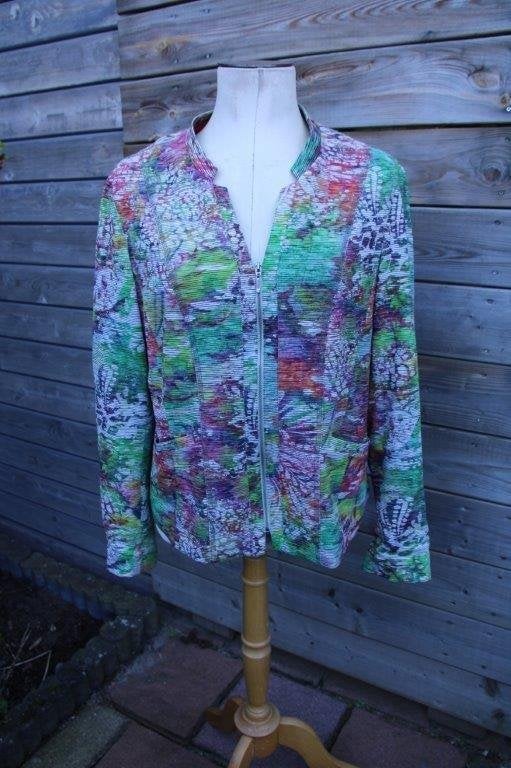 Jasje gekleurd Witteveen mt 44 Vaste prijs, Kleding | Dames, Overige kleuren, Maat 42/44 (L), Ophalen of Verzenden, Zo goed als nieuw