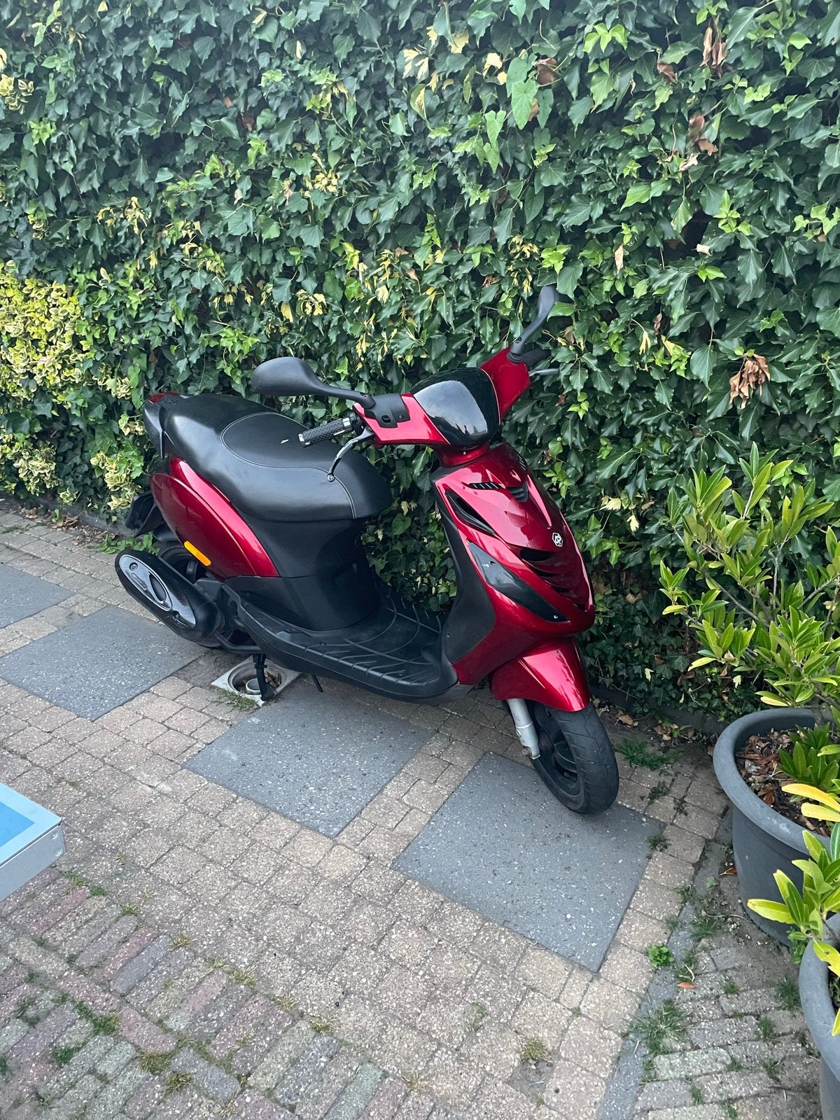 Piaggio Zip Scooter - Rood snor ik ga niet lager dan 700, Gebruikt, Maximaal 45 km/u, Zip, Ophalen of Verzenden