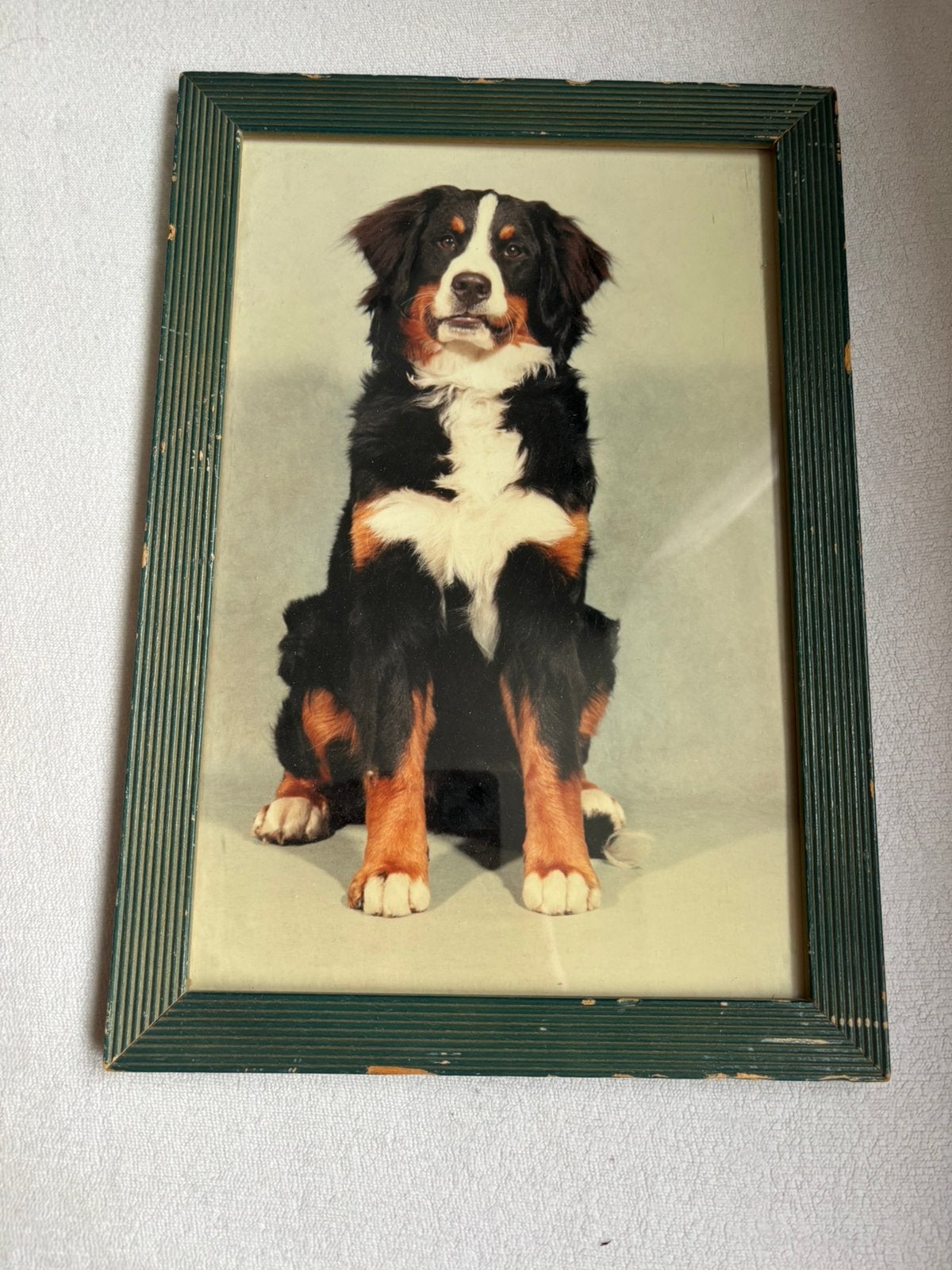 Fotolijst 20 x 30, Ophalen of Verzenden, Zo goed als nieuw, Minder dan 50 cm, Schilderij