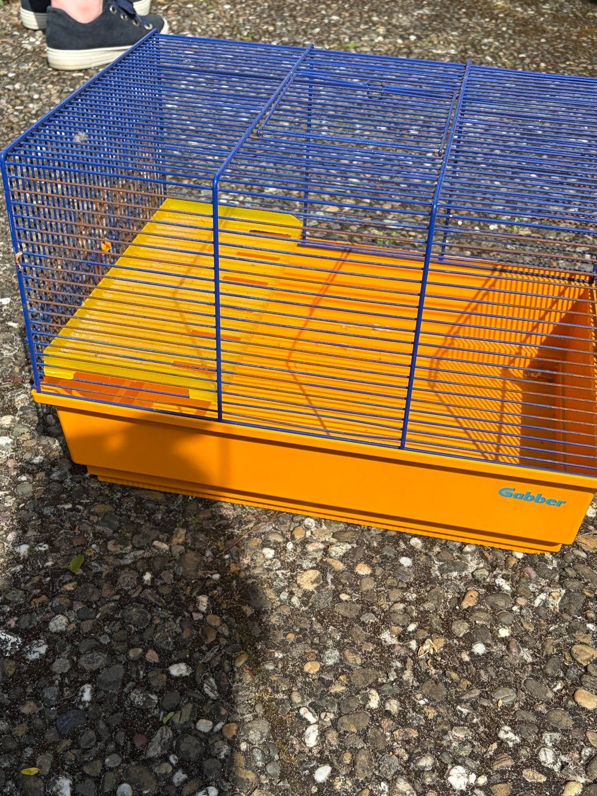 Hamster kooi, Minder dan 60 cm, Kooi, Gebruikt, Minder dan 75 cm