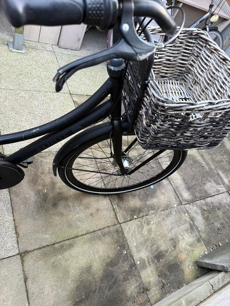 Te koop Gazzele puur, 47 tot 50 cm, Ophalen of Verzenden, Zo goed als nieuw