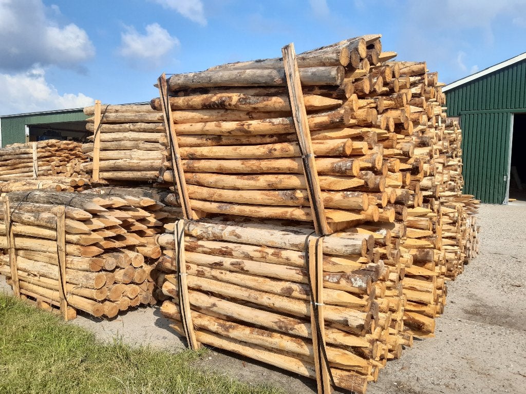 Kastanjehouten palen, heiningpalen, 160cm lang , 8/10cm dik, Ophalen, Nieuw, Minder dan 180 cm, Palen