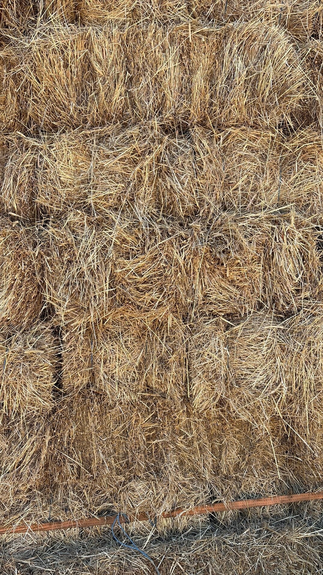 Te koop mooi hooi, Ophalen, Vee