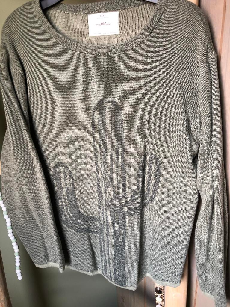 Zara jongens trui maat 134 met cactus print, Ophalen of Verzenden, Zo goed als nieuw, Jongen, Trui of Vest