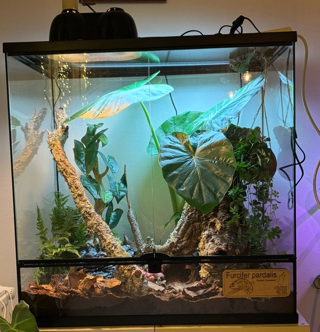 Nieuw terrarium in verpakking, Ophalen, Zo goed als nieuw
