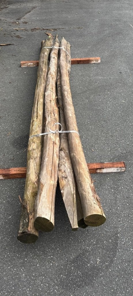 Kastanje, geschild, gepunt Ø8-10cm 300cm nr. 747, Tuin en Terras, Palen, Balken en Planken, Ophalen, Zo goed als nieuw, 250 cm of meer