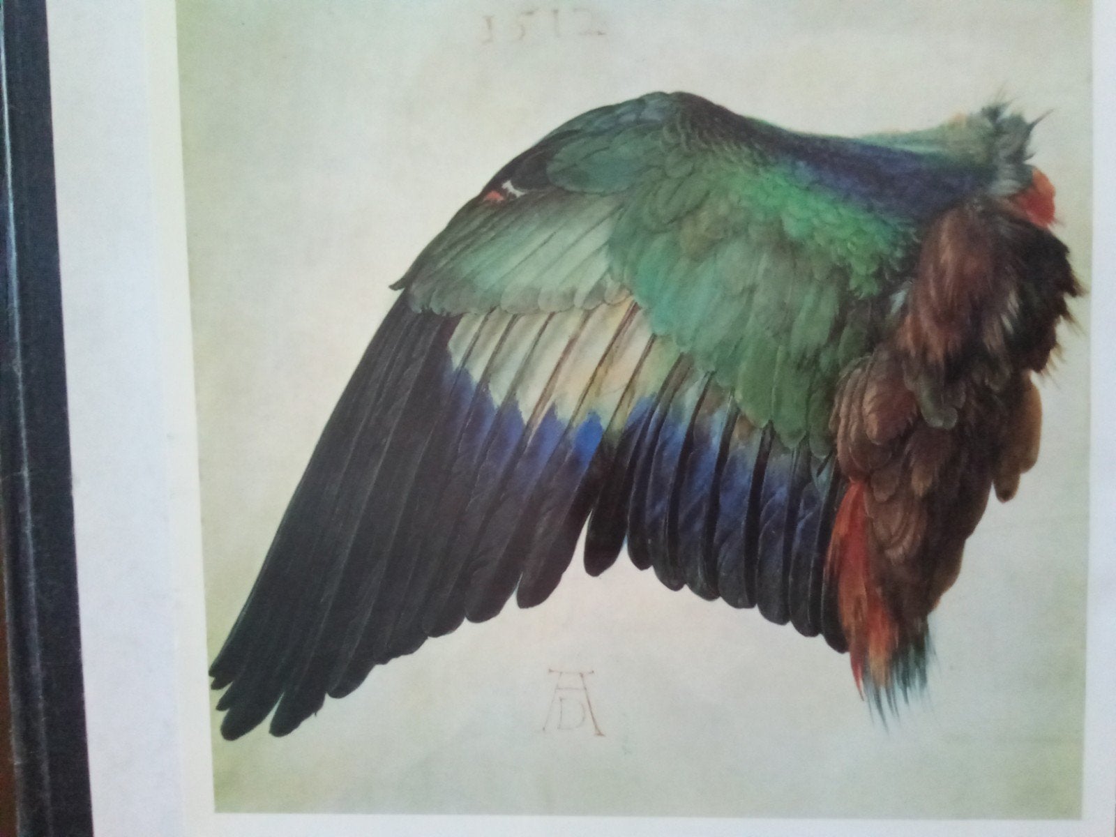 Albrecht Durer Print Vleugel, Antiek en Kunst, Ophalen of Verzenden
