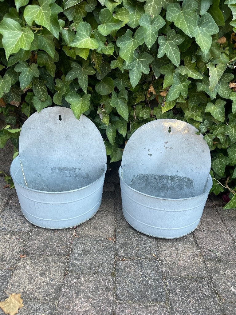 Twee leuke planten bakjes om op te hangen, Ophalen, Overige soorten, Volle zon