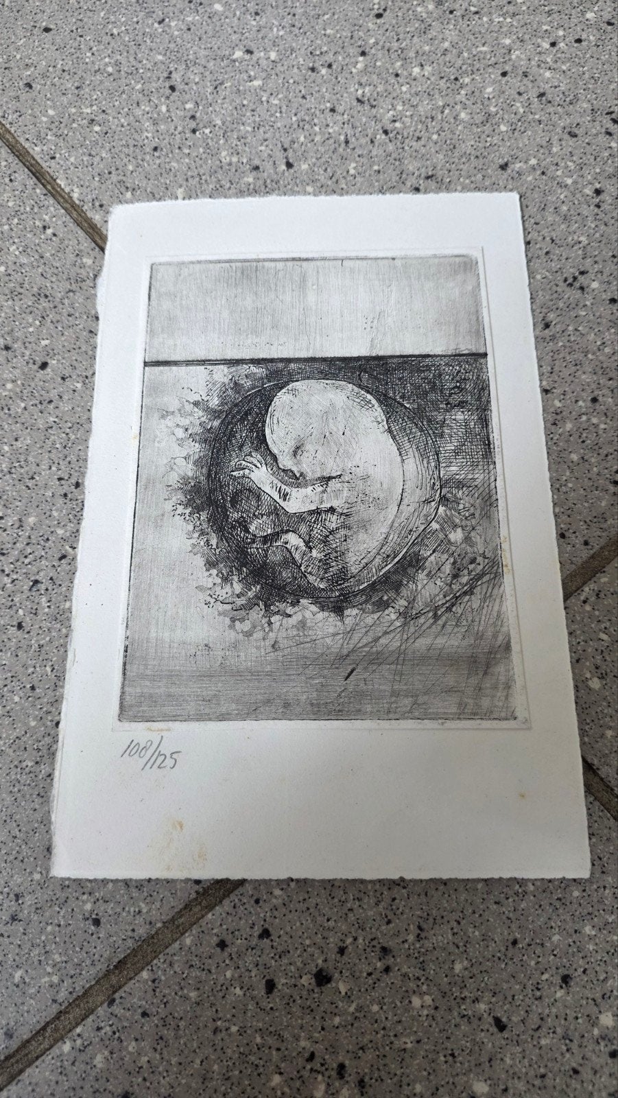 Ets van foetus, genummerd 108/125, Ophalen, Ets, Genummerd, 1950 - 1999