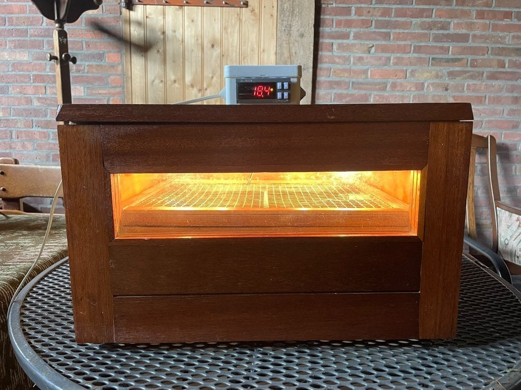 Broedmachine Vlakbroeder Digitaal, Geslacht onbekend, Kip