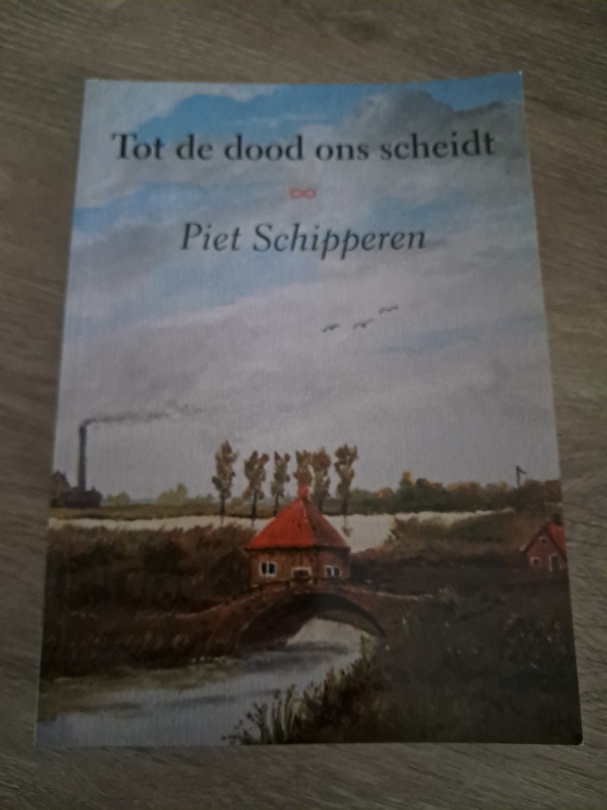 C8 Tot de dood ons scheidt - Piet Schipperen, Ophalen of Verzenden, Gelezen, Piet Schipperen, Nederland