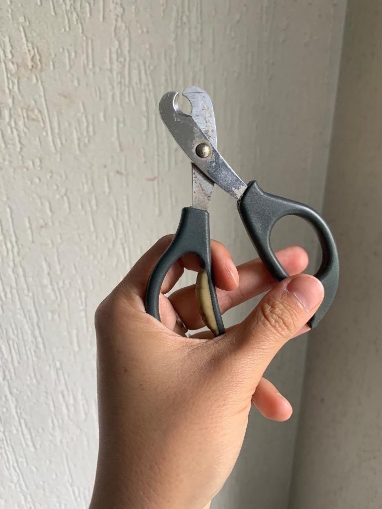 Nagelschaar Hond, Ophalen of Verzenden, Gebruikt