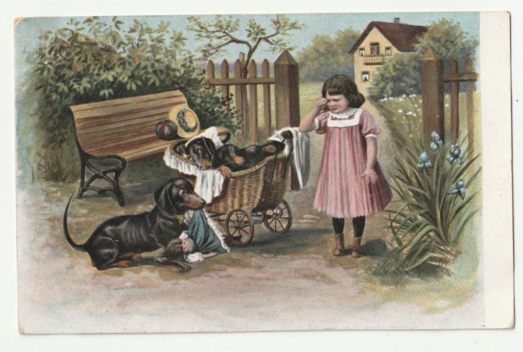 Oude ansichtkaart met teckels dashonden, Verzenden, Voor 1920, Gelopen, Hond of Kat